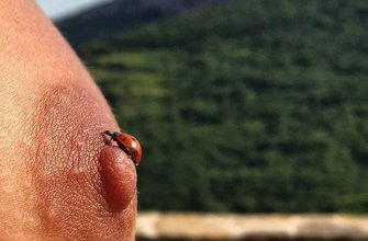 Мариса Папен